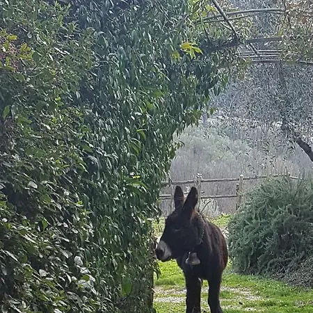 Il Pillone Landhaus *
